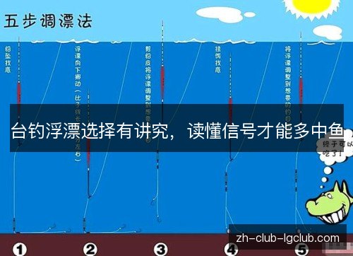 台钓浮漂选择有讲究，读懂信号才能多中鱼